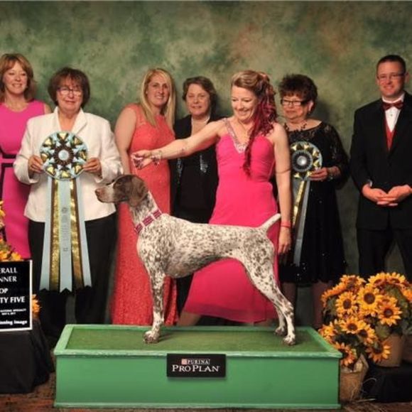 Meet your Posher, Tiffany - Picture 1 of 1